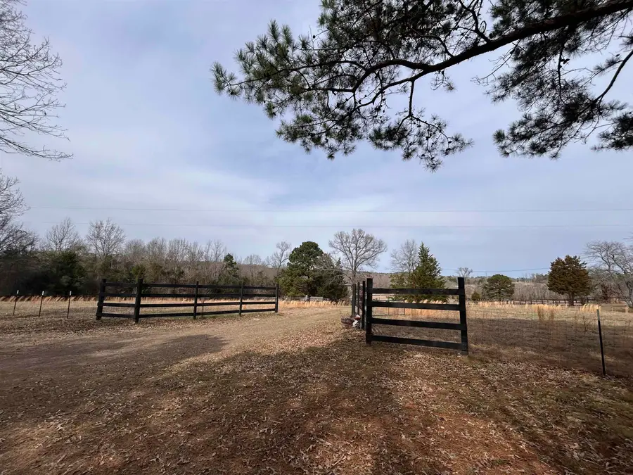 2774 Zinnia Rd, Diana, TX 75640 - #3