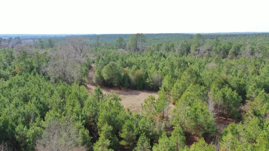 0000 CR 1782, Linden, TX 75563 - #2