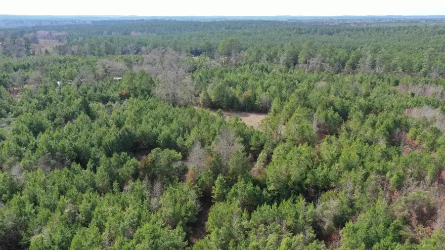 0000 CR 1782, Linden, TX 75563 - #3