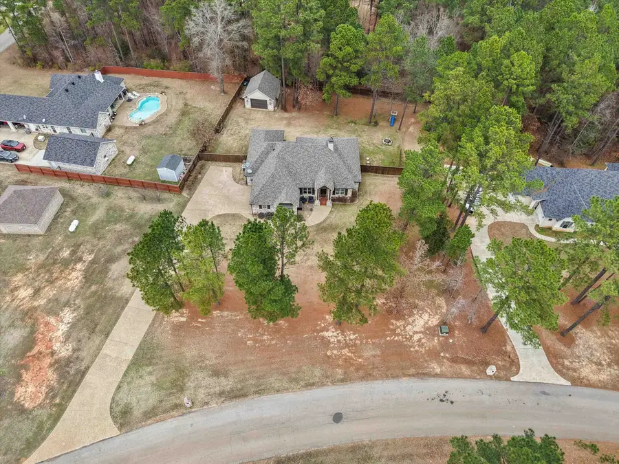 287 Bralan Drive, Diana, TX 75640 - #3