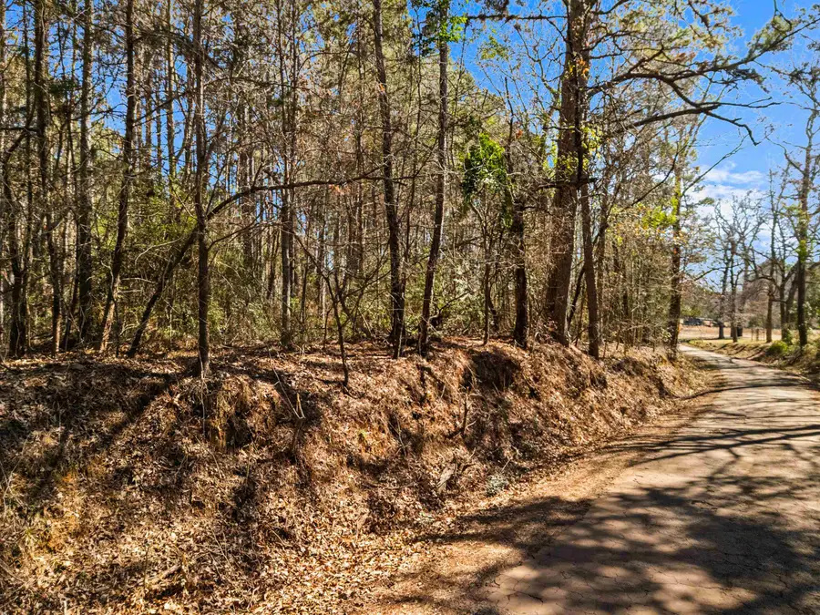 18.895 Ac TBD Dreesen Rd., Jefferson, TX 75657 - #2