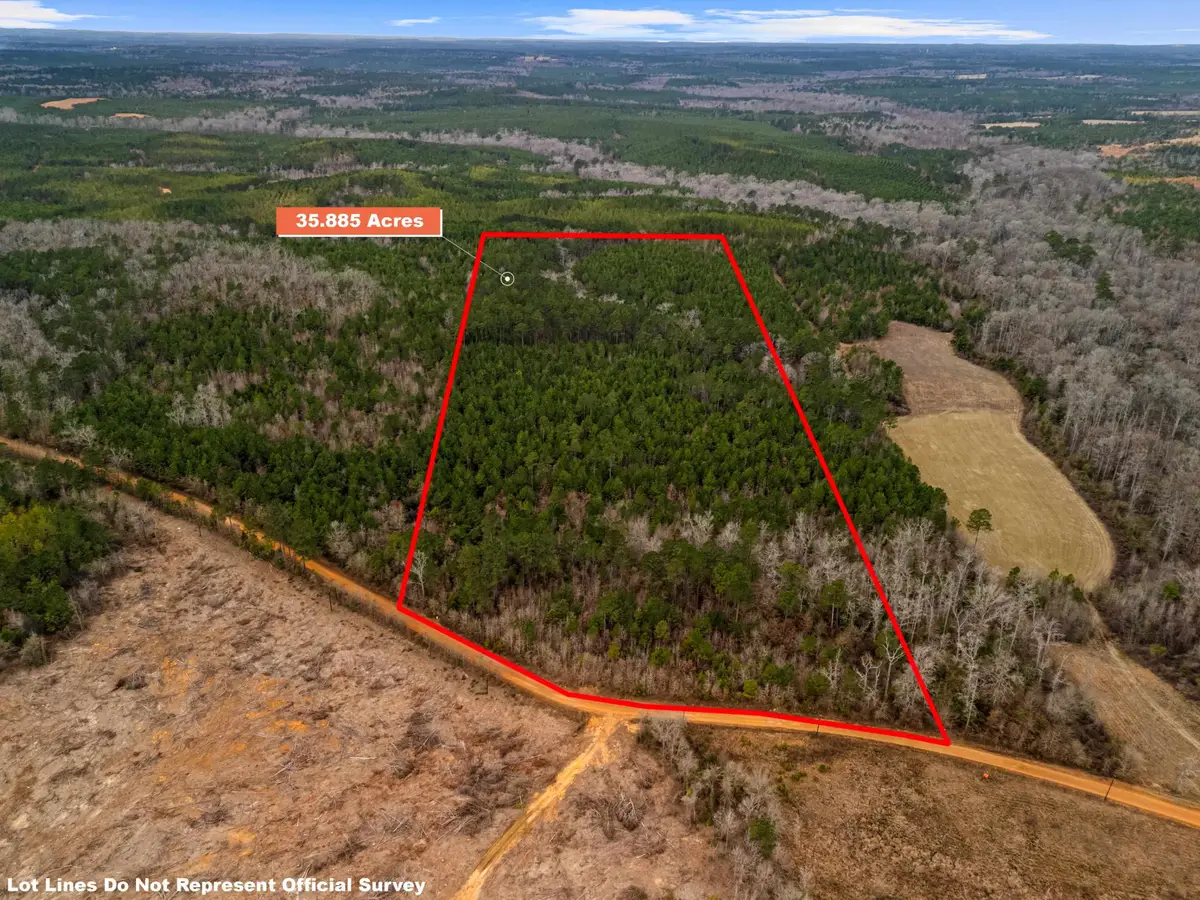 35.885 Ac TBD Liberty Rd, Jefferson, TX 75657 - #1