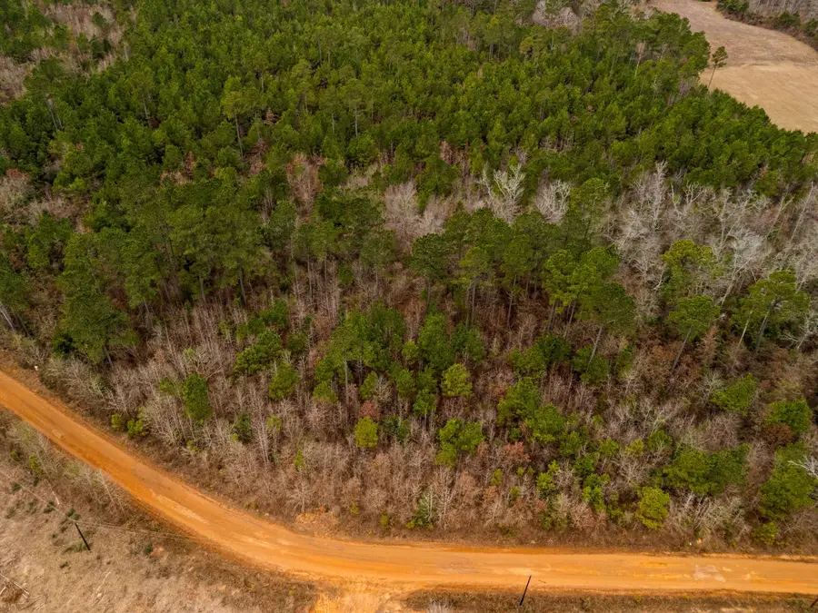 35.885 Ac TBD Liberty Rd, Jefferson, TX 75657 - #3