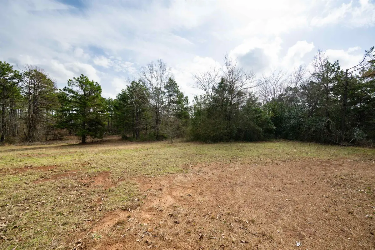 TBD CR 401, Henderson, TX 75654 - #1