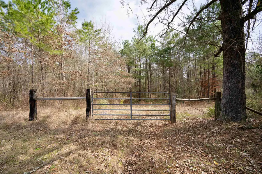 TBD CR 401, Henderson, TX 75654 - #2