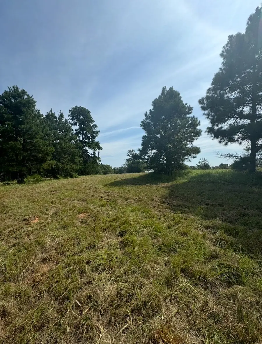 1258 Brown Rd., Big Sandy, TX 75755 - #2