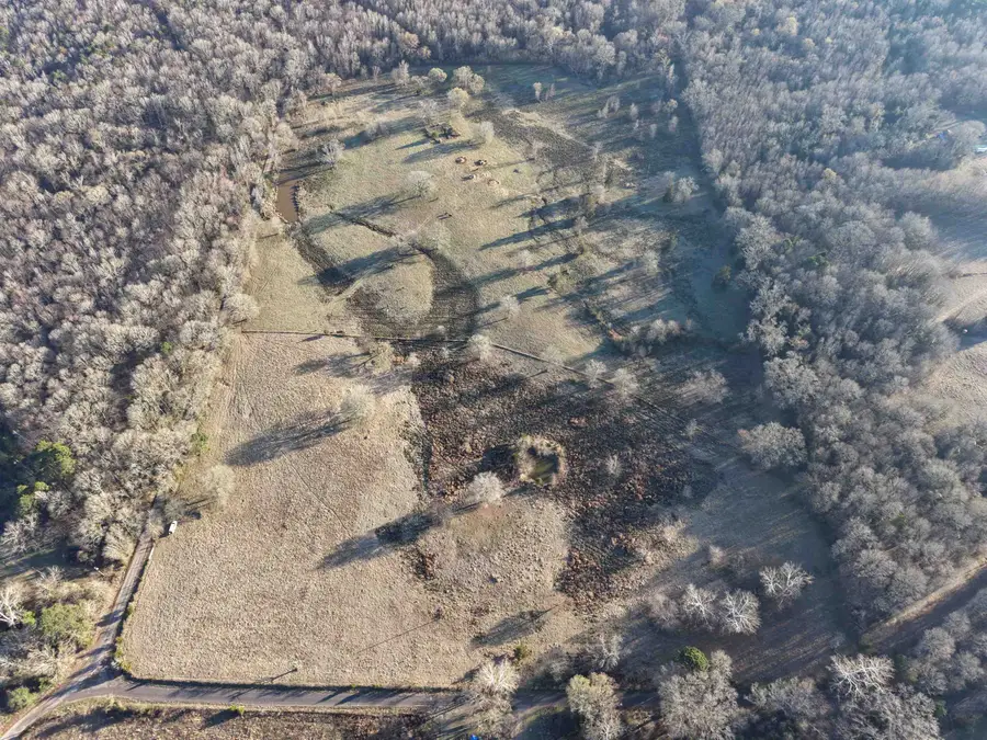 1836 County Road 3416, Leesburg, TX 75451 - #2