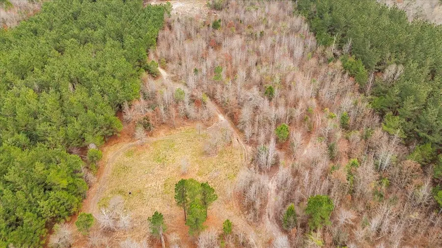 729 CR 307, De Berry, TX 75639 - #2