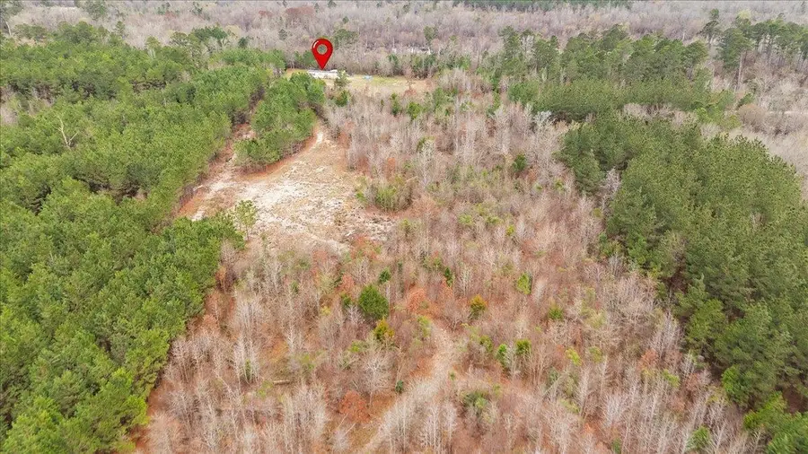 729 CR 307, De Berry, TX 75639 - #3