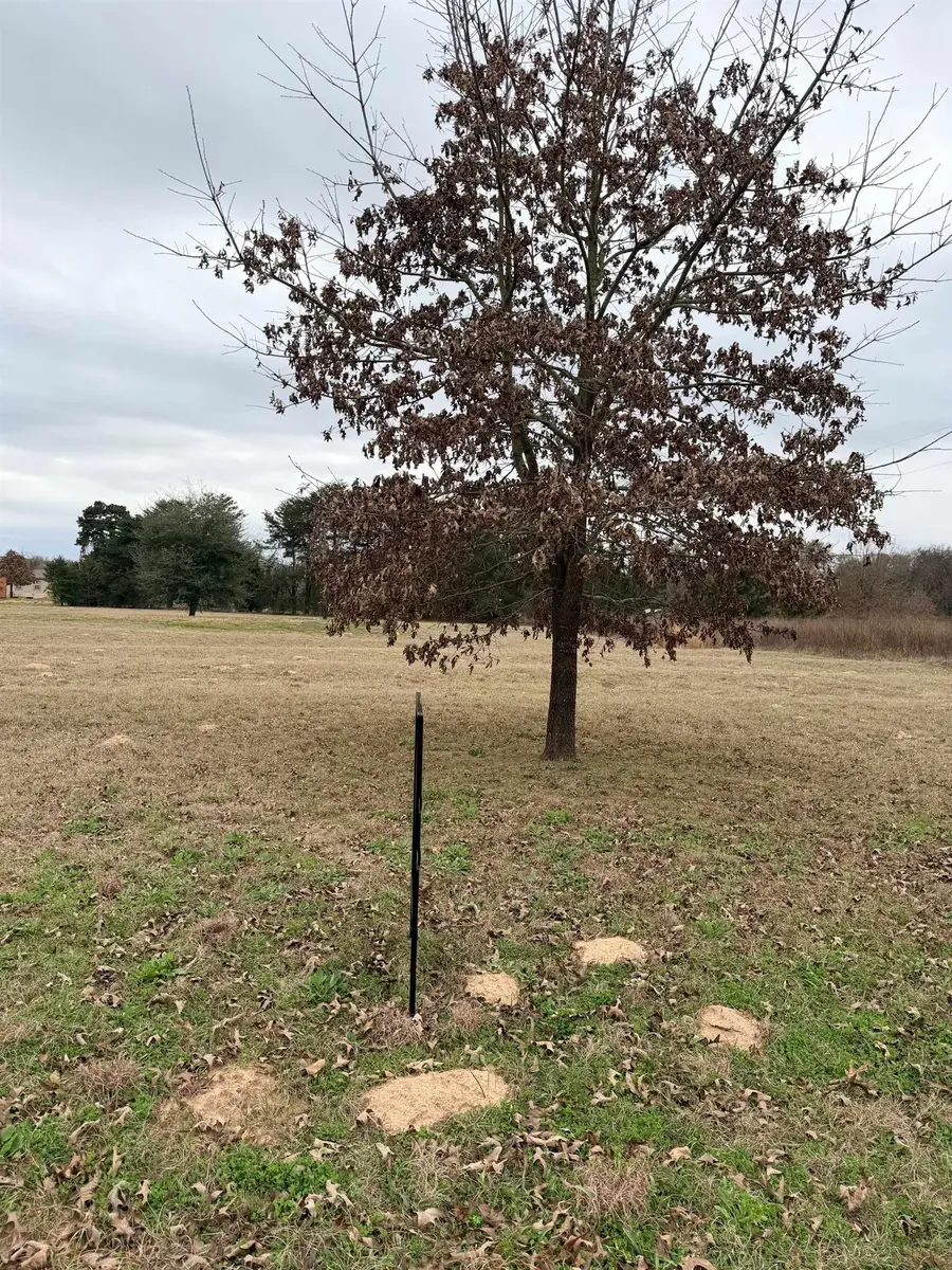 198 Crockett, Bullard, TX 75757 - #2