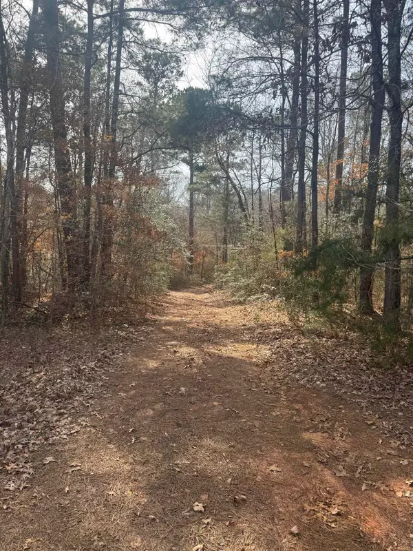 TBD E CR 398, Henderson, TX 75652