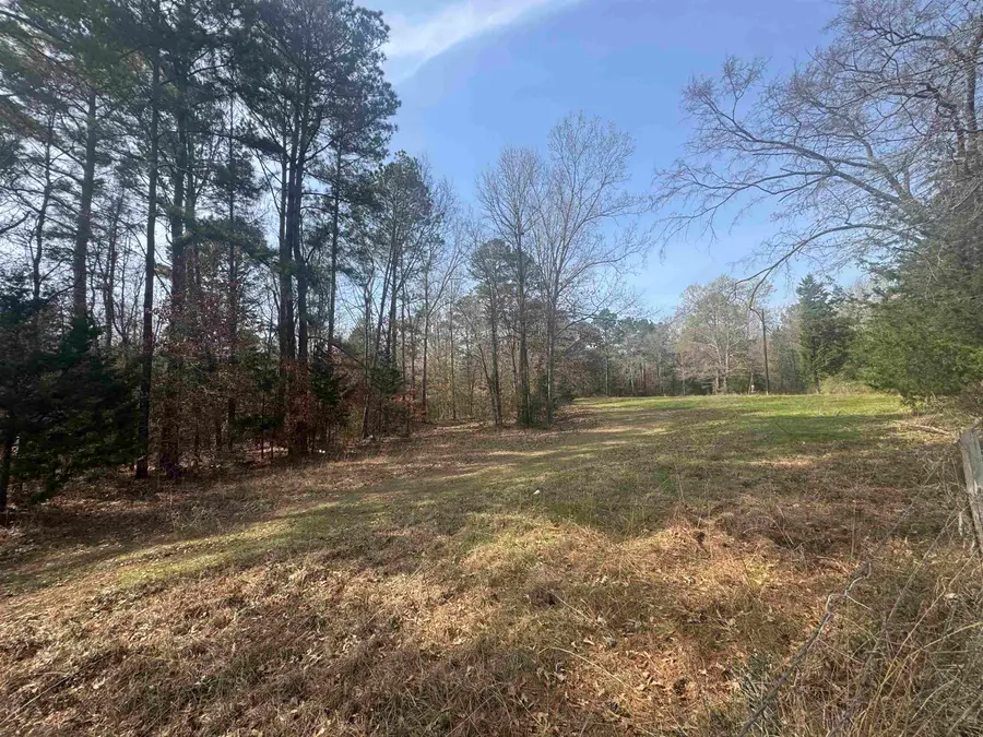 TBD E CR 398, Henderson, TX 75652 - #2