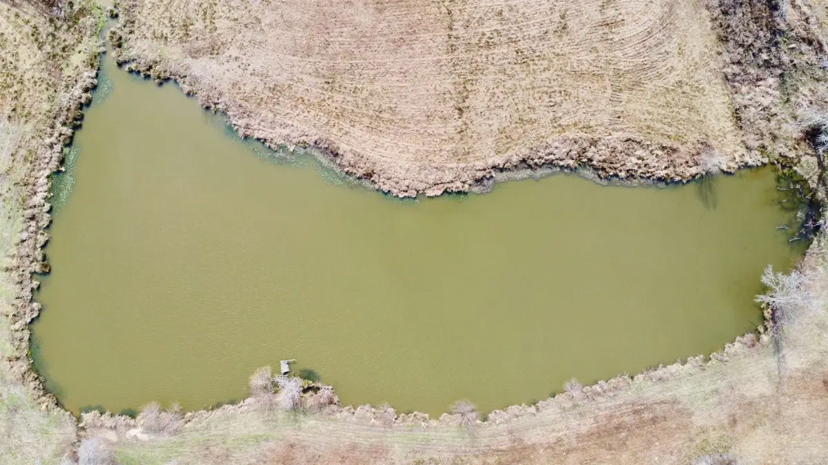 TBD CR 1460-2, Linden, TX 75563 - #1