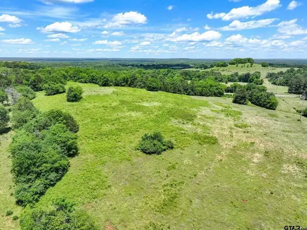 TBD Cr 2493, Bullard, TX 75757