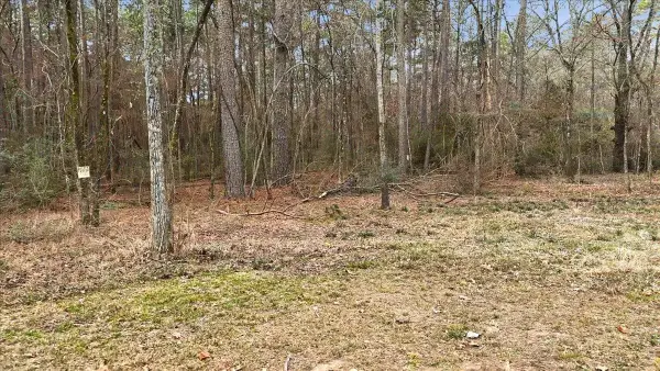 12174 S CR 3153, Mount Enterprise, TX 75681