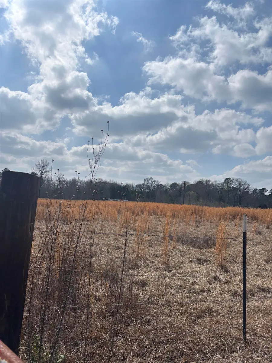 753 Old FM 134 and Substation rd, Karnack, TX 75661 - #2