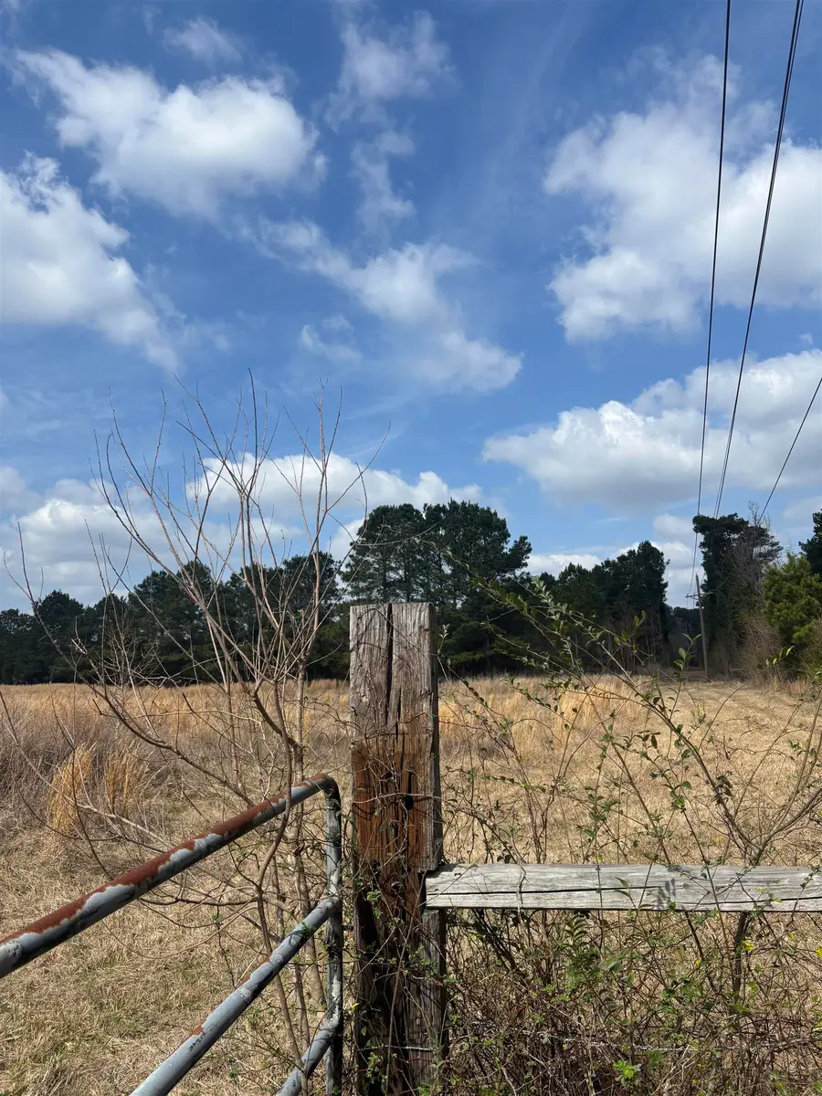 753 Old FM 134 and Substation rd, Karnack, TX 75661 - #3