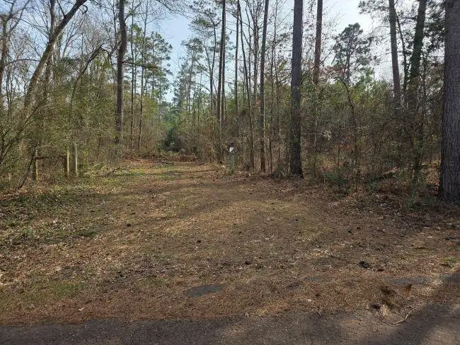 TBD 7.85 ac CR 3206, Laneville, TX 75667 - #2