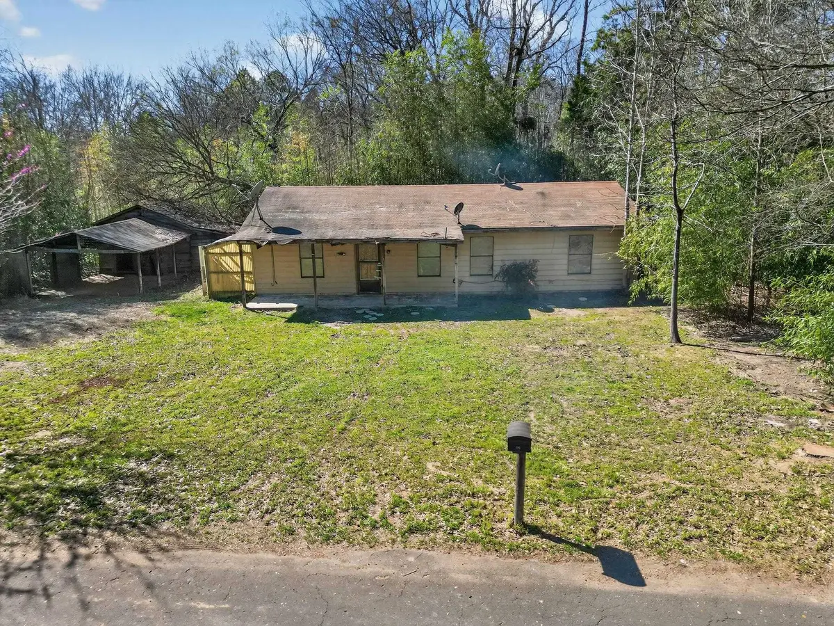 318 CR 2922, Alba, TX 75410 - #1