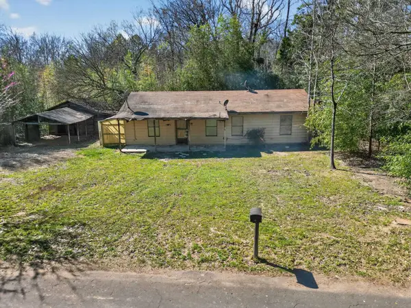 318 CR 2922, Alba, TX 75410