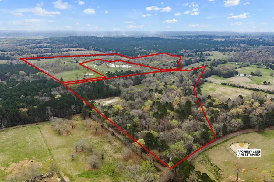 TBD E CR 398 Tract #2, Henderson, TX 75652 - #3