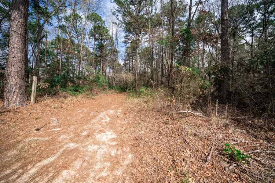 10340 Groundhog Rd., Gilmer, TX 75644 - #2