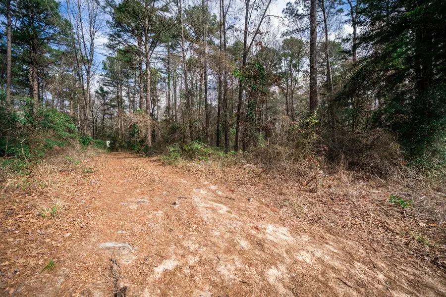 10340 Groundhog Rd., Gilmer, TX 75644 - #3