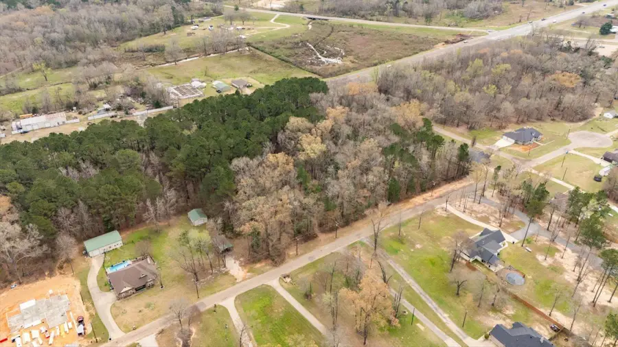 TBD LOTS 5 & 6 HEATHER LN, New Diana, TX 75640 - #2