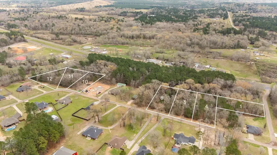 TBD LOT 11 & 12 HEATHER LN, Diana, TX 75640 - #3