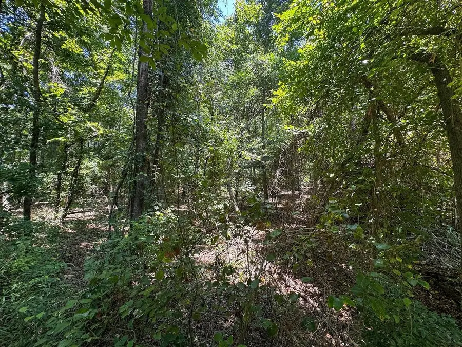404 Country Club Rd, Hallsville, TX 75650 - #3