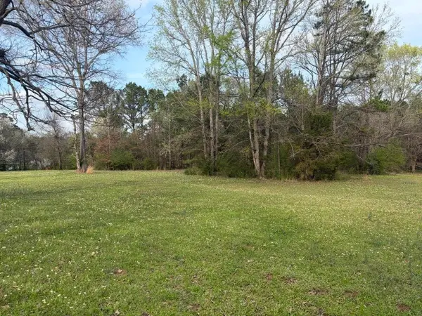 0 Young Road, Hallsville, TX 75650