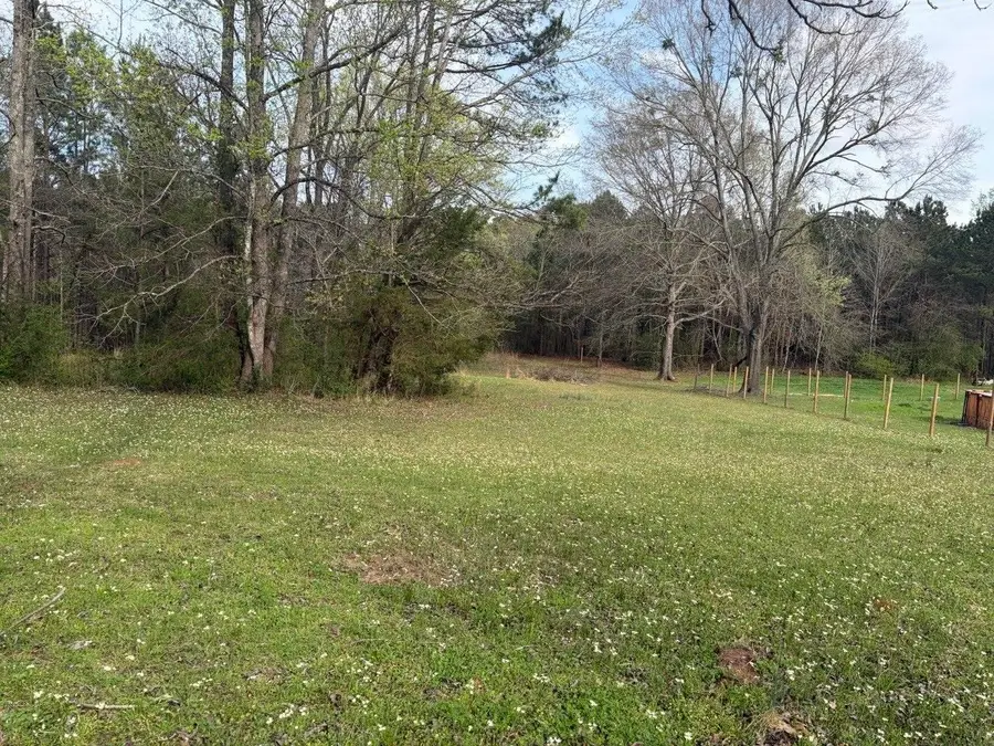 0 Young Road, Hallsville, TX 75650 - #2