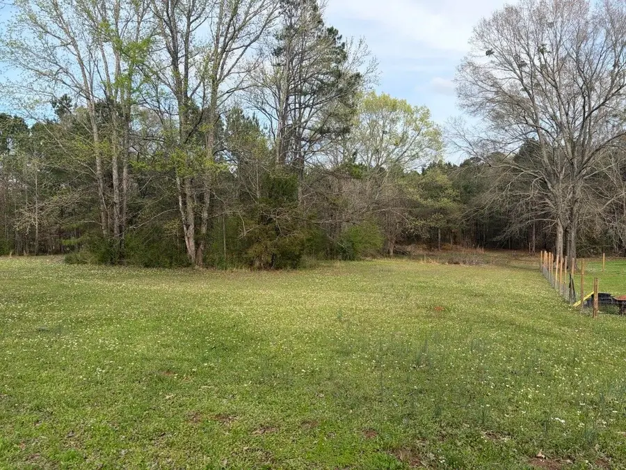 0 Young Road, Hallsville, TX 75650 - #3