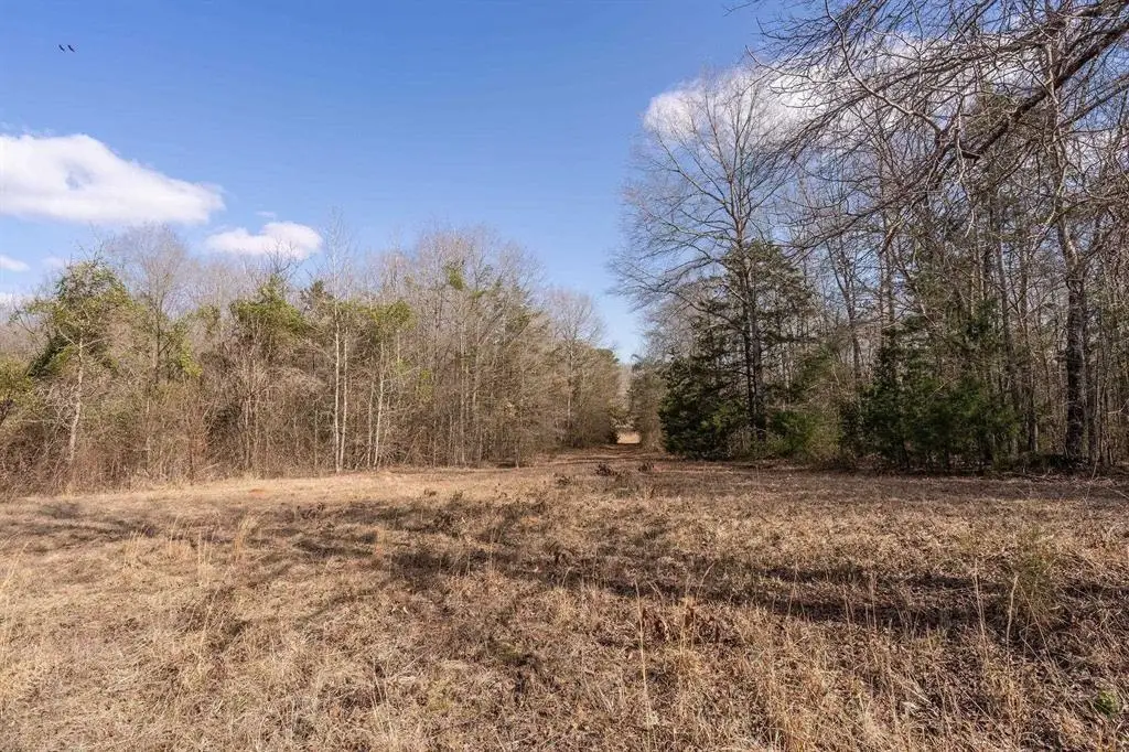 TBD Stevens, Marietta, TX 75566 - #1