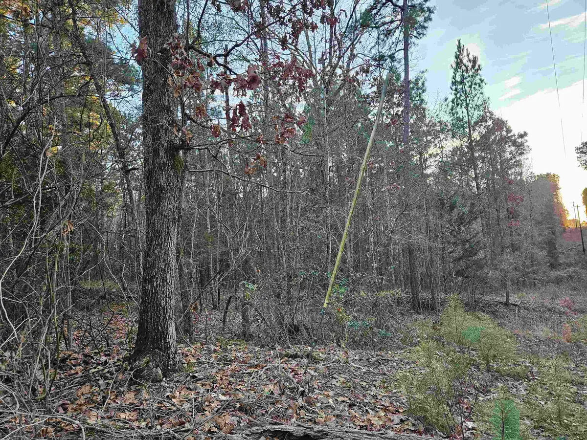 9557 Fm 726, Gilmer, TX 76544 - #1