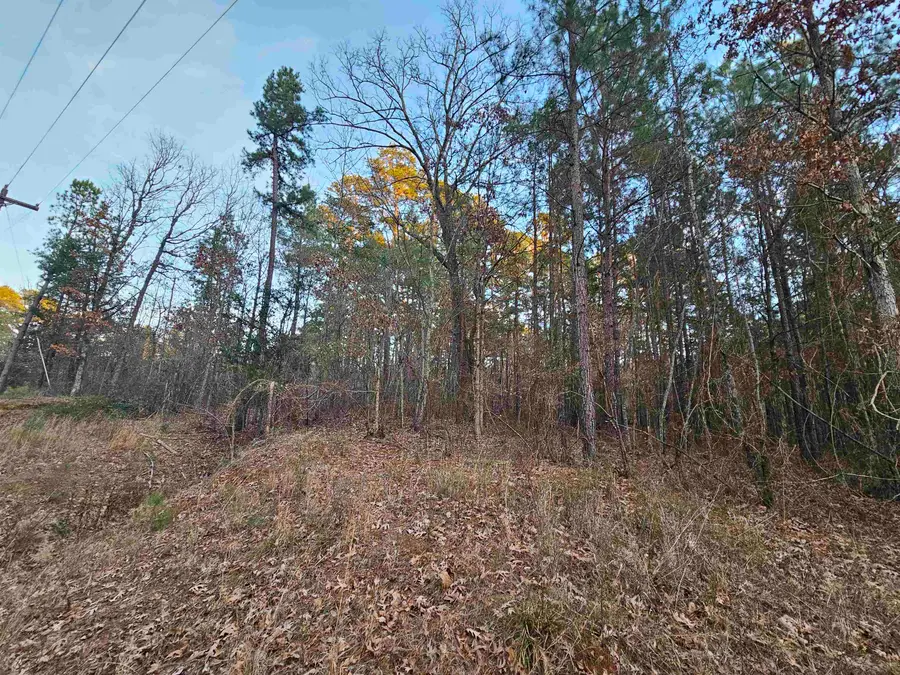 9557 Fm 726, Gilmer, TX 76544 - #2