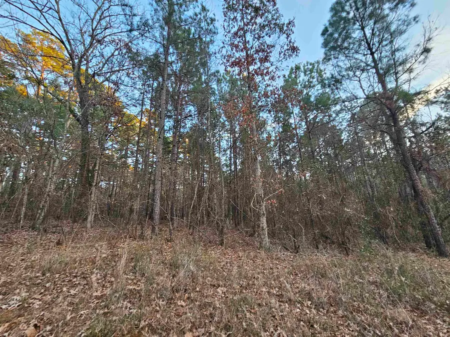 9557 Fm 726, Gilmer, TX 76544 - #3