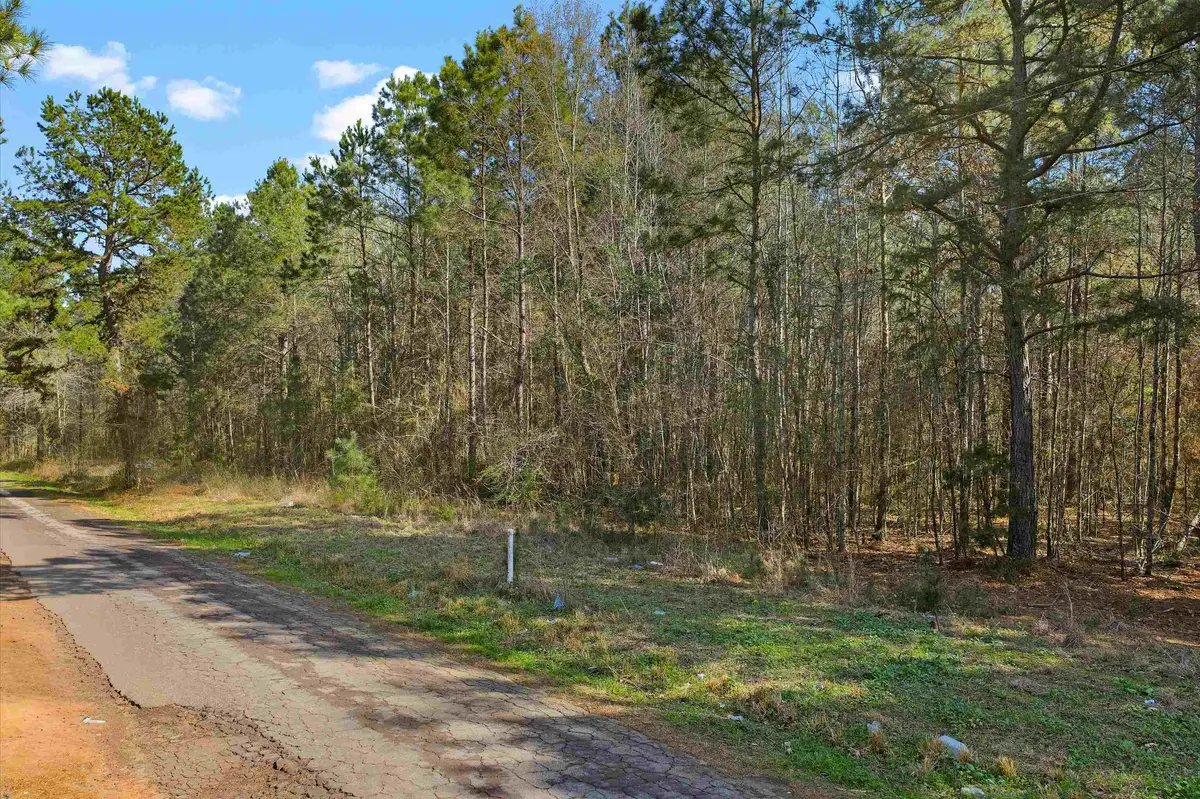 3150 Narcissus Rd, Ore City, TX 75683 - #1