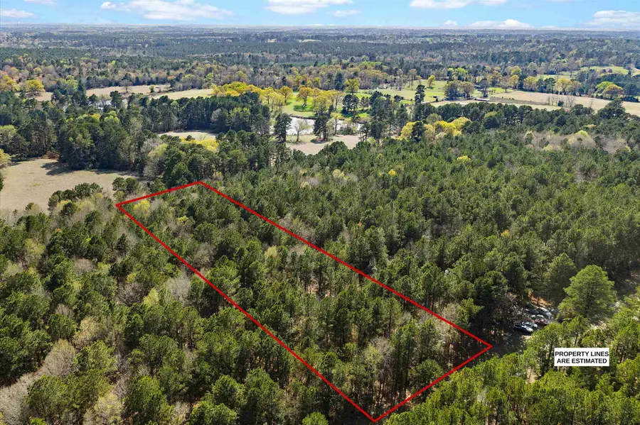 3150 Narcissus Rd, Ore City, TX 75683 - #3