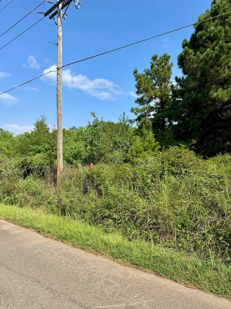 804 E Jefferson, Waskom, TX 75692 - #3