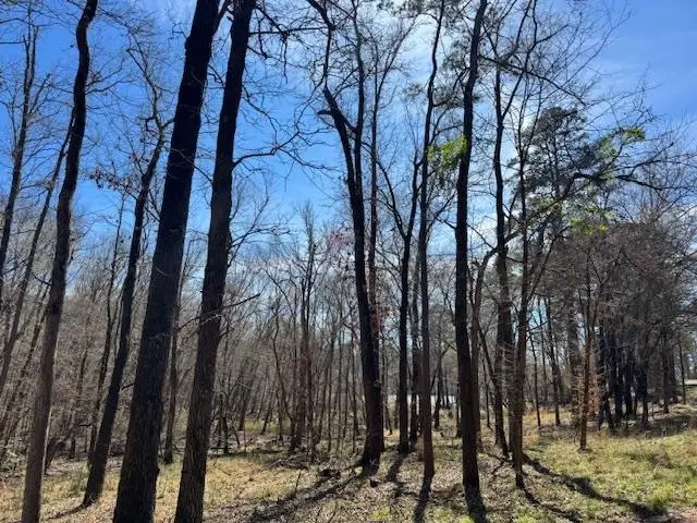 TBD An County Road 319, Frankston, TX 75763 - #1