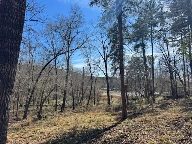 TBD An County Road 319, Frankston, TX 75763 - #2