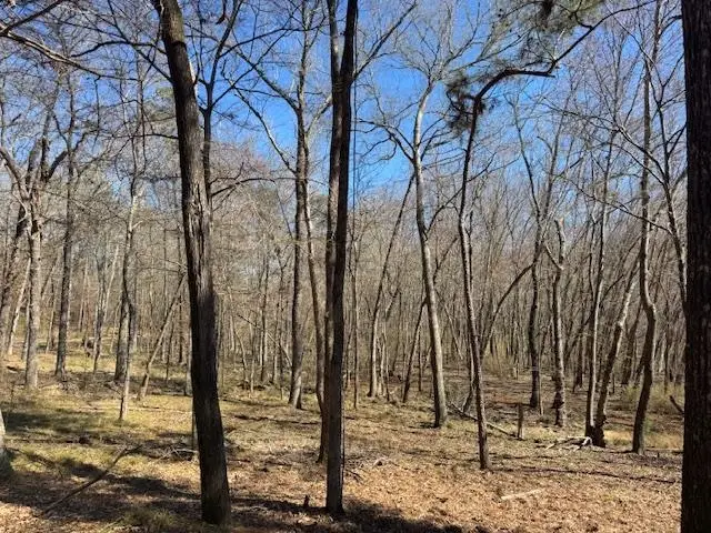 TBD An County Road 319, Frankston, TX 75763 - #3