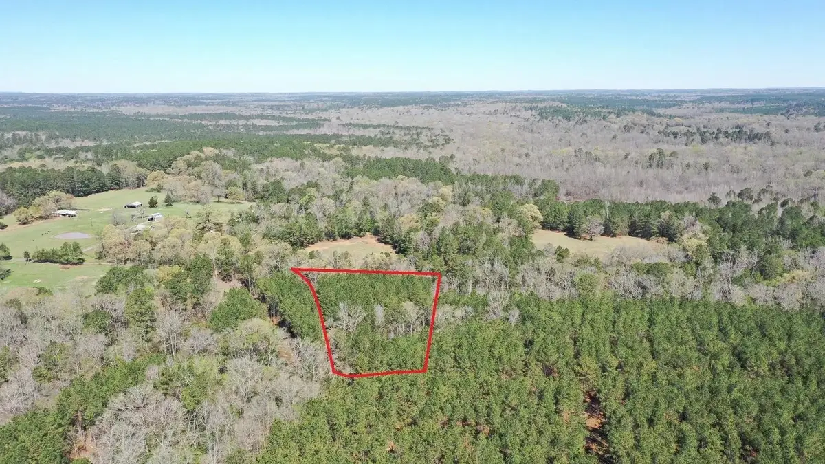 0000 County Road 1926, Linden, TX 75563 - #1