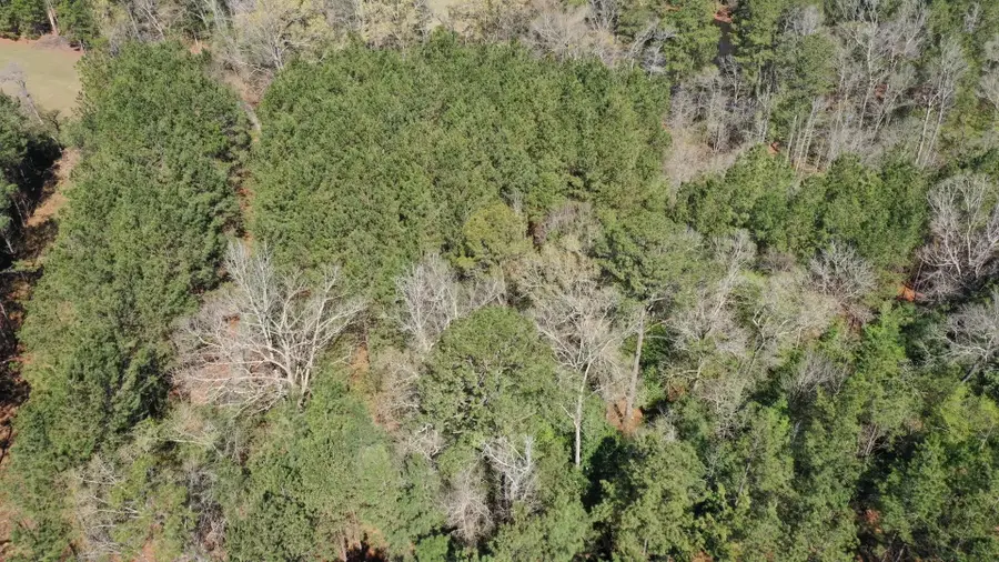 0000 County Road 1926, Linden, TX 75563 - #3