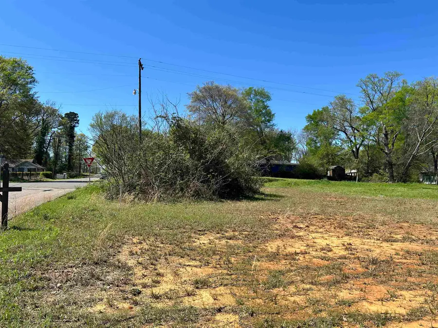 2405 Hynson Springs Road, Marshall, TX 75670 - #2