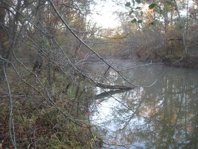 0000 FM 839, Laneville, TX 75684-7568 - #2