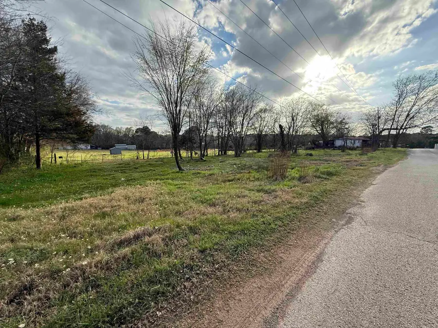 504 W Tarbutton Street, Troup, TX 75789 - #2