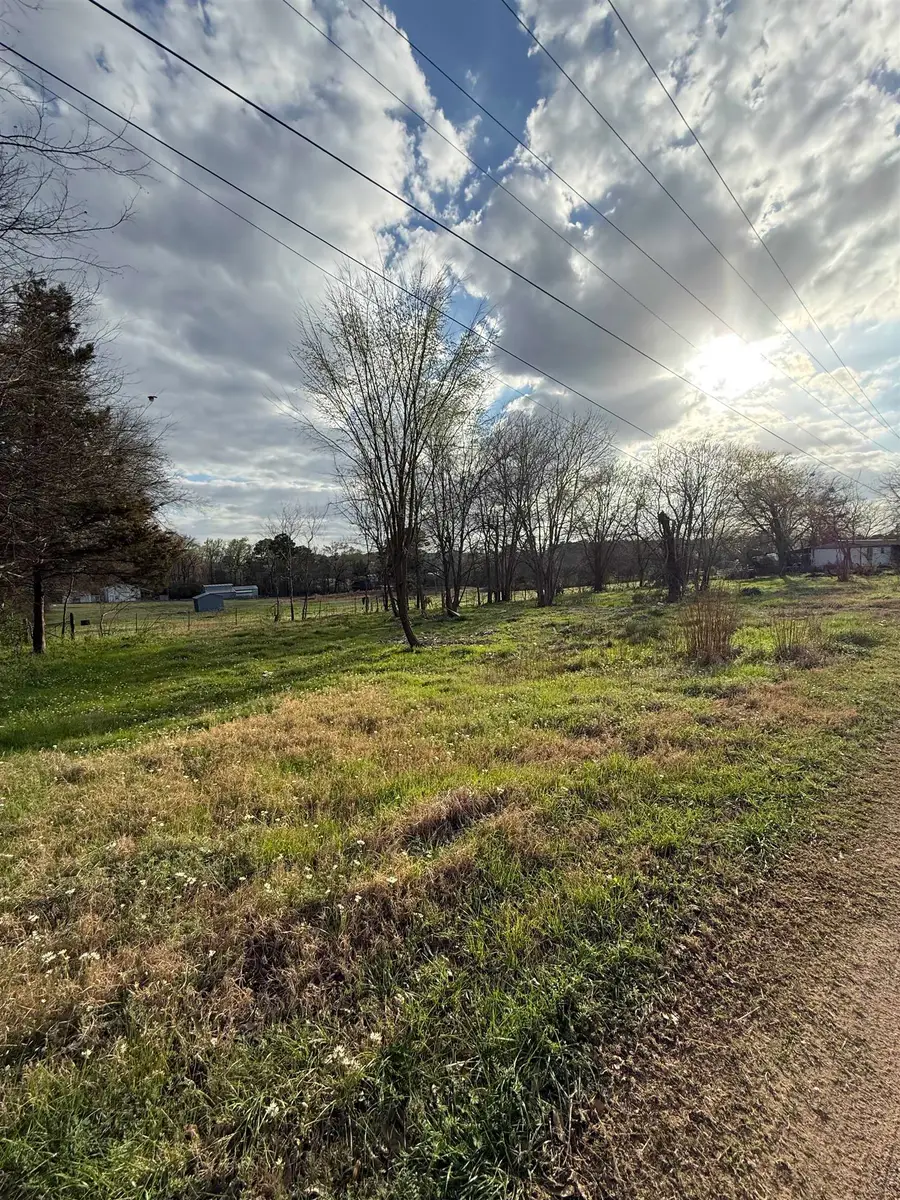 504 W Tarbutton Street, Troup, TX 75789 - #3