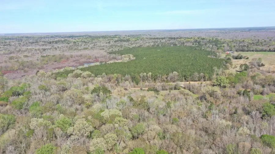 TBD CR 2513, Naples, TX 75568 - #2